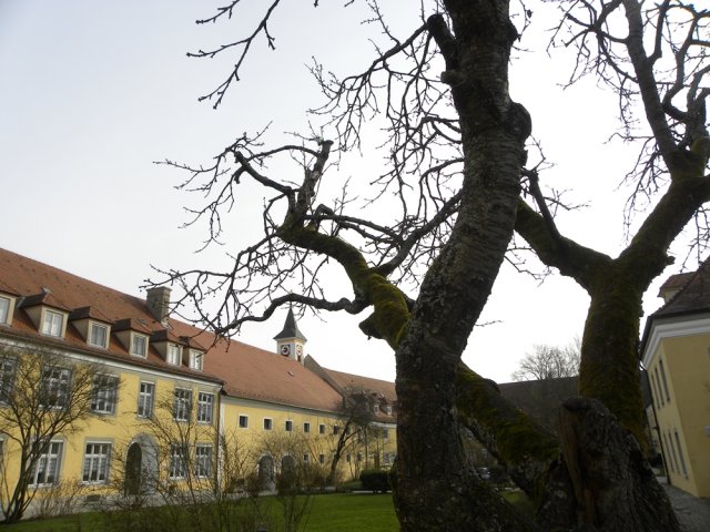 Kloster Strahlfeld 2016 02